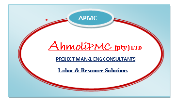 AhmoliPMC Solutions