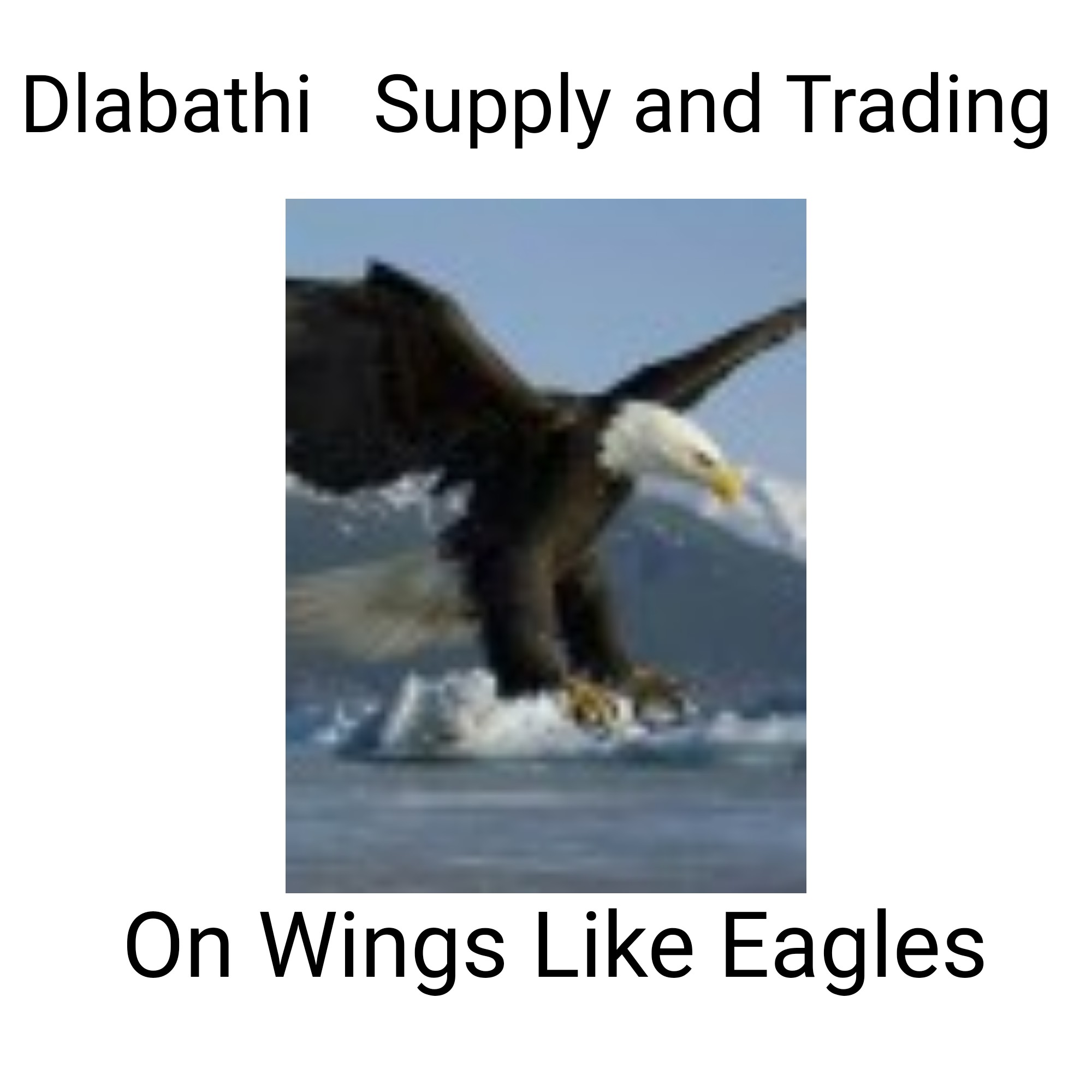 Dlabathi Supply and Trading